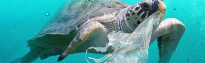 NEBOA - nowa marka kosmetyczna, która stawia na opakowania z oceanicznego odzysku